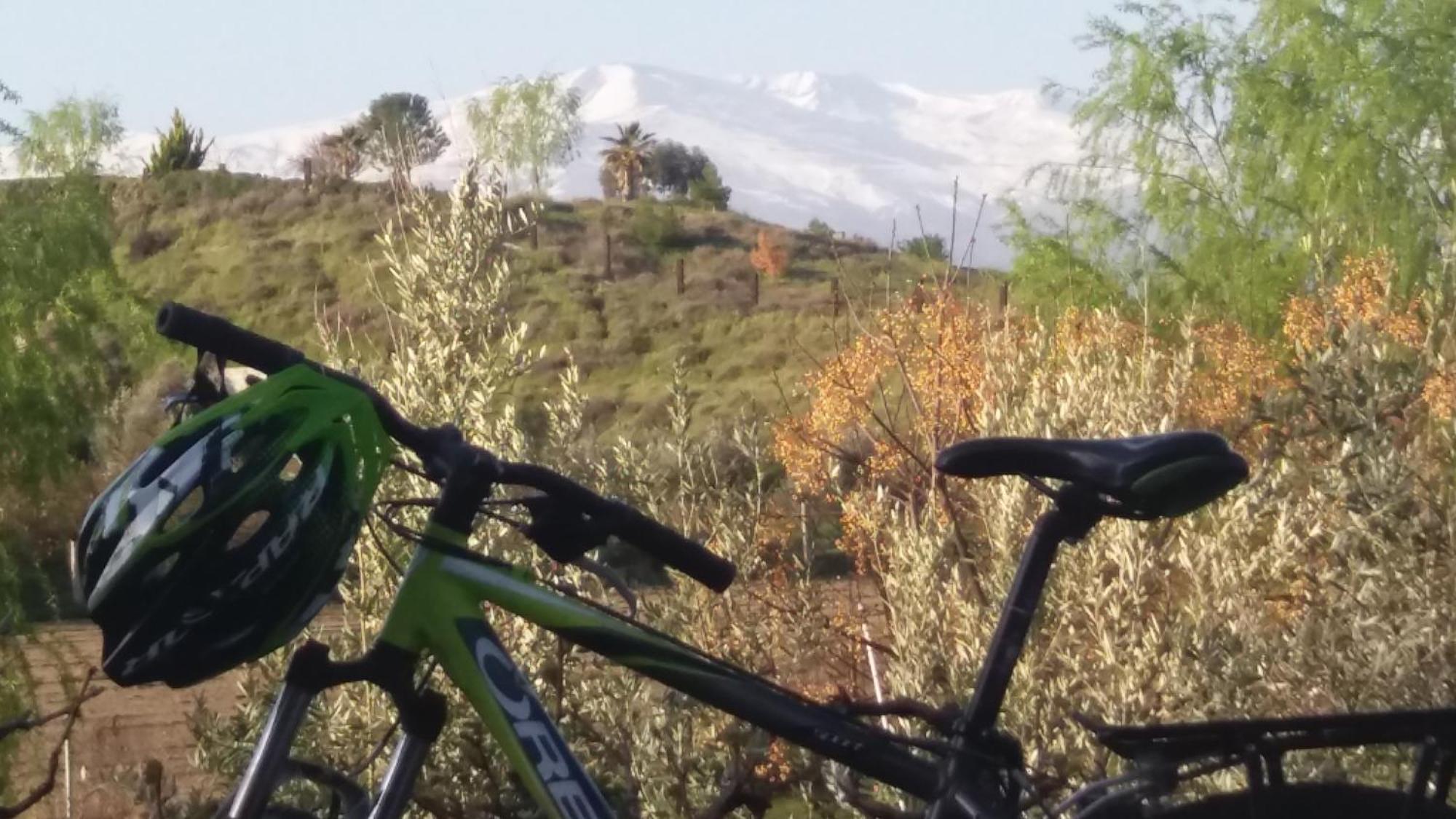 Cuevas La Chumbera Pension Benalúa de Guadix Buitenkant foto